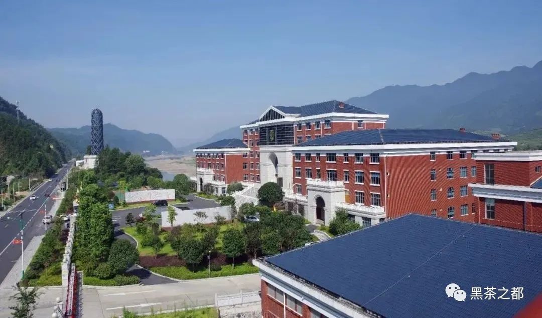 富硒茶多少价（富硒茶多少钱一斤）-硒宝网