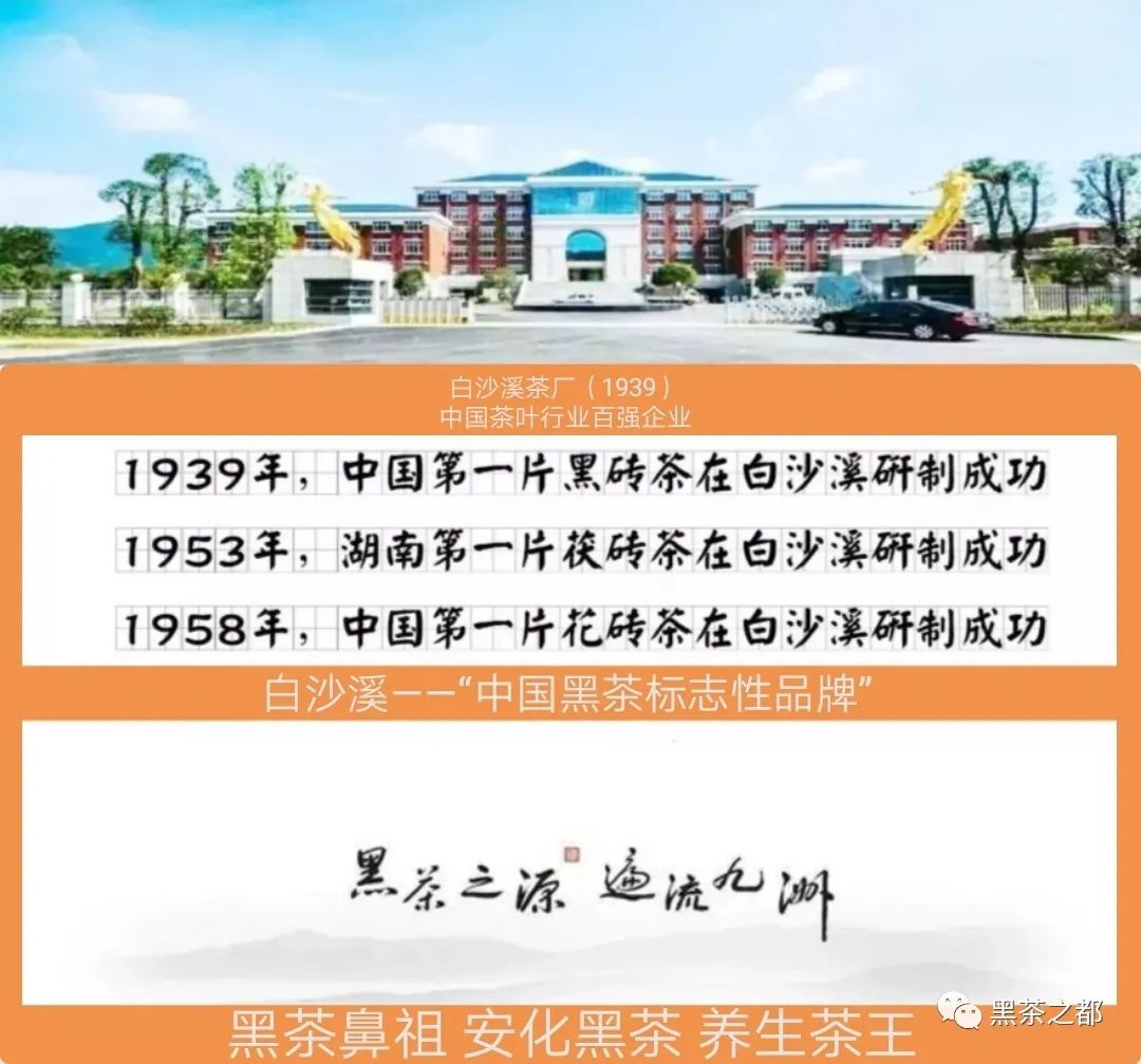 富硒茶多少价（富硒茶多少钱一斤）-硒宝网