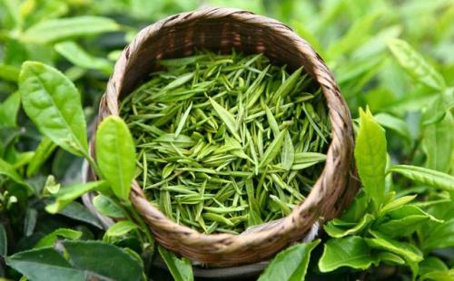 买紫阳富硒茶(紫阳富硒茶属于绿茶吗)-硒宝网