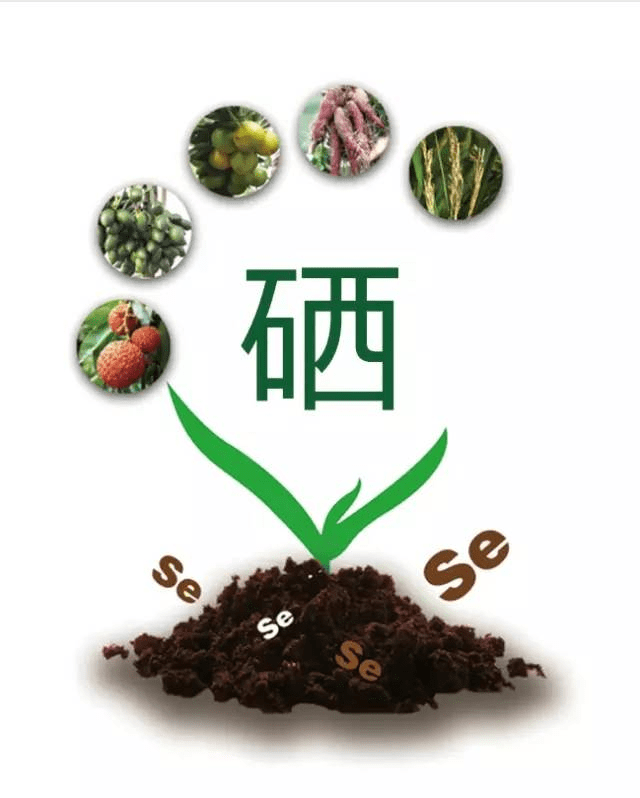 农悠悠富硒茶（紫阳富硒茶属于哪类茶）-硒宝网