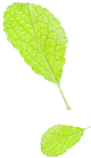 开阳富硒球茶(开阳富硒茶叶)-硒宝网