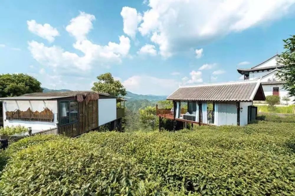 开阳富硒球茶(开阳富硒茶叶)-硒宝网