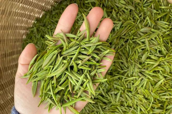 开阳富硒球茶(开阳富硒茶多少钱一斤)-硒宝网