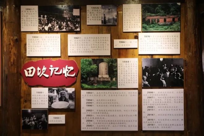 开阳富硒球茶(开阳富硒茶多少钱一斤)-硒宝网