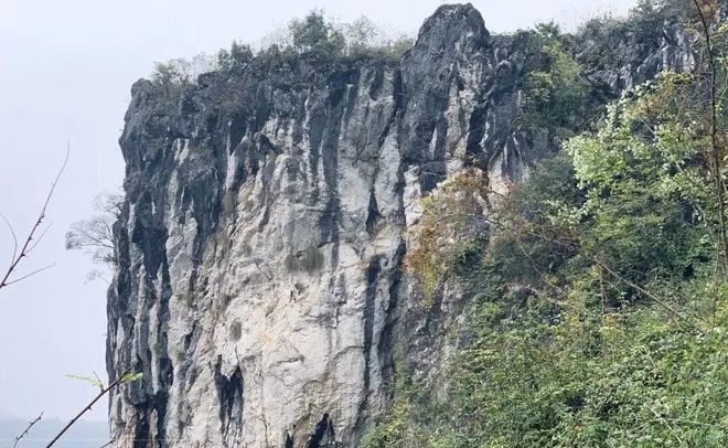 开阳富硒球茶(开阳富硒茶多少钱一斤)-硒宝网