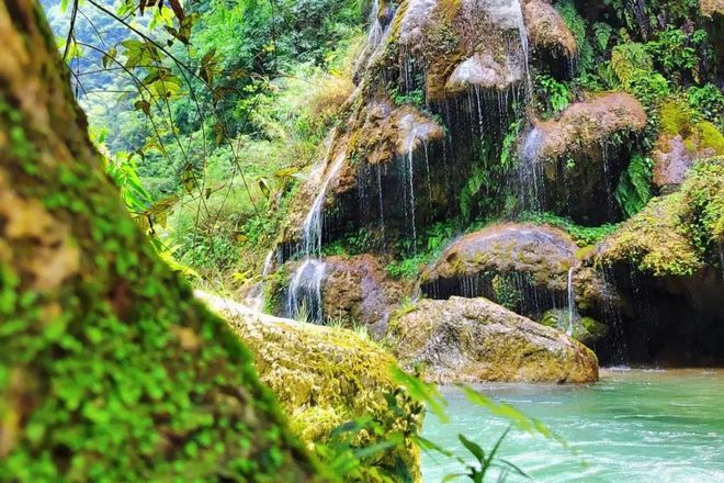 开阳富硒球茶(开阳富硒茶多少钱一斤)-硒宝网