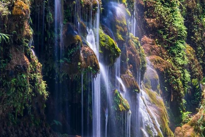 开阳富硒球茶(开阳富硒茶多少钱一斤)-硒宝网