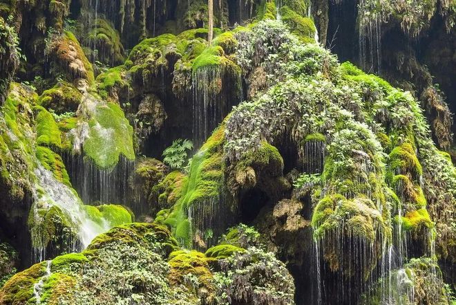 开阳富硒球茶(开阳富硒茶多少钱一斤)-硒宝网