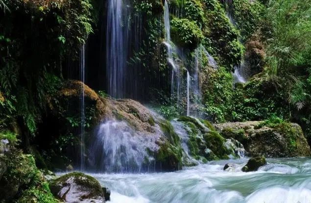 开阳富硒球茶(开阳富硒茶多少钱一斤)-硒宝网