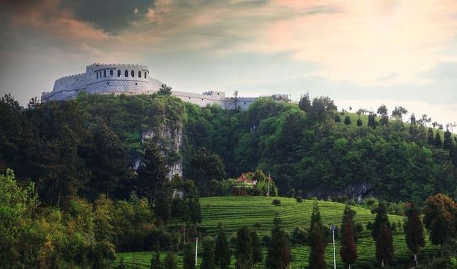 开阳富硒球茶(开阳富硒茶多少钱一斤)-硒宝网