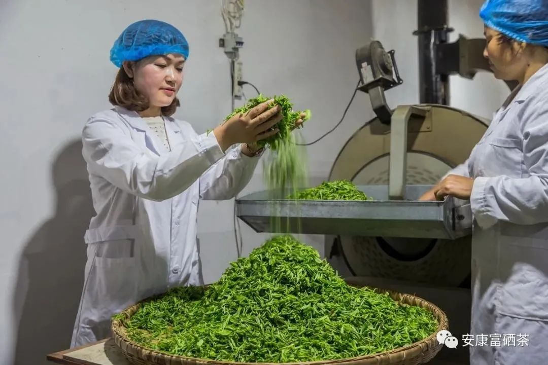 汉水韵富硒茶(汉中富硒茶)-硒宝网