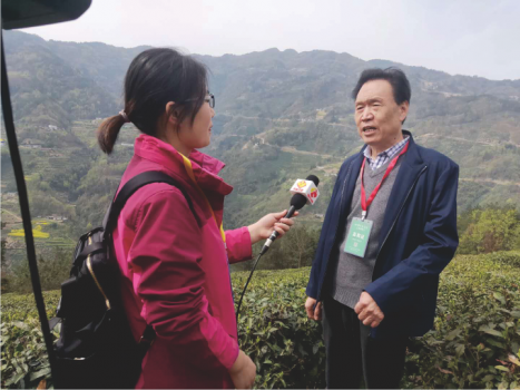 汉水韵富硒茶(汉水富硒矿泉水)-硒宝网