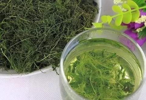 富硒藤茶颗粒(颗粒富硒藤茶怎么喝)-硒宝网