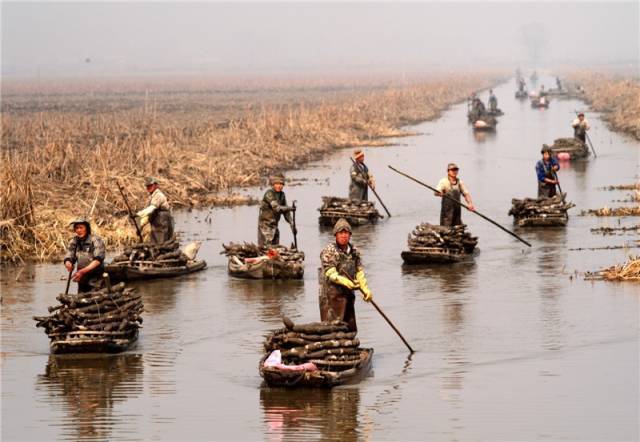富硒藤茶颗粒(颗粒富硒藤茶怎么喝)-硒宝网