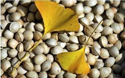 富硒藤茶颗粒(颗粒富硒藤茶怎么喝)-硒宝网