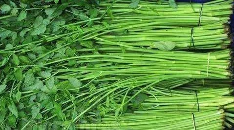 富硒藤茶颗粒(颗粒富硒藤茶怎么喝)-硒宝网