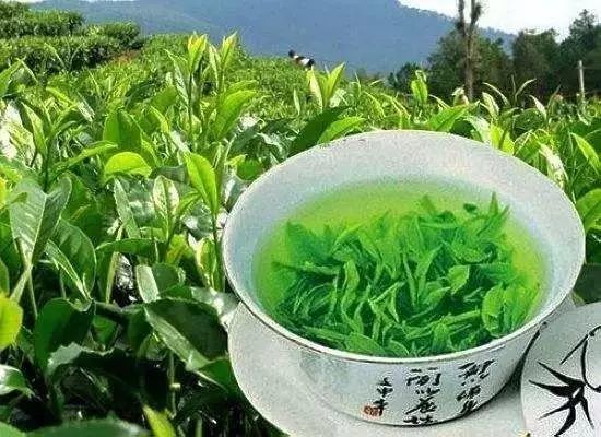 富硒藤茶颗粒(颗粒富硒藤茶怎么喝)-硒宝网