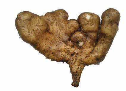 富硒藤茶颗粒(颗粒富硒藤茶怎么喝)-硒宝网