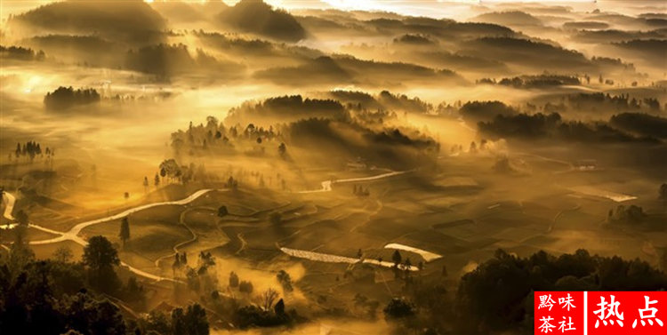 印度产富硒茶(印度的茶叶产量最多)-硒宝网