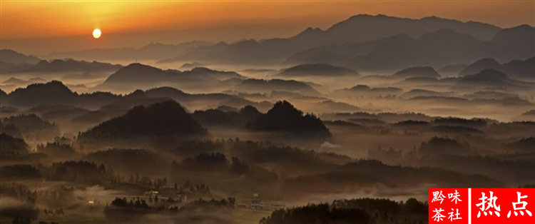 印度产富硒茶(印度的茶叶产量最多)-硒宝网