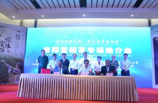 好喝的富硒茶（喝富硒茶身体有什么反应）-硒宝网