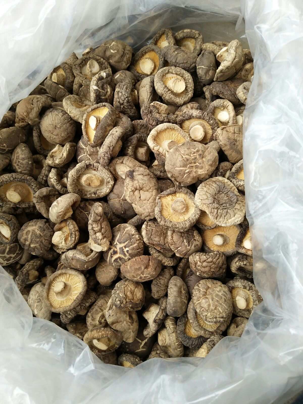 富硒茶粉商品（富硒茶具）-硒宝网