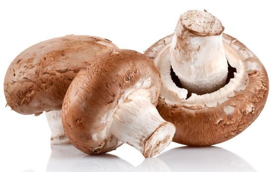 富硒茶粉商品（富硒茶具）-硒宝网