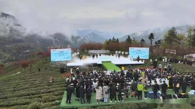 好喝的富硒茶(喝富硒茶的好处)-硒宝网