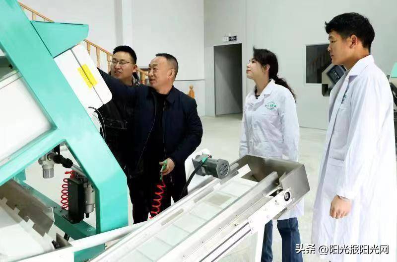 好喝的富硒茶(喝富硒茶的好处)-硒宝网