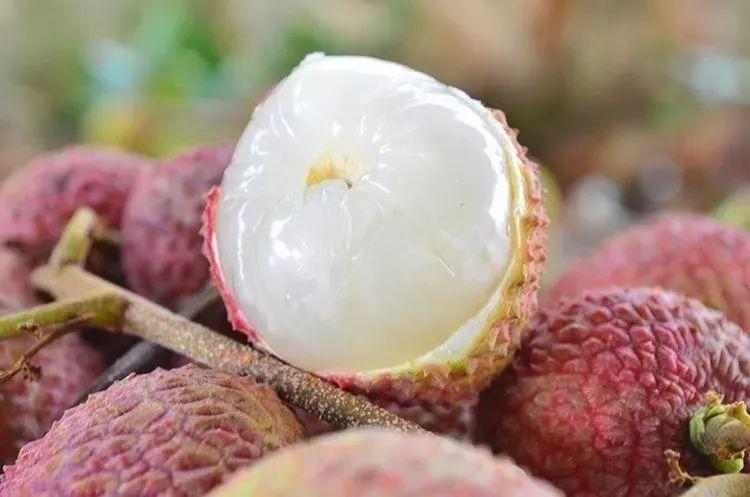 富硒原生古茶(普洱原生富硒茶)-硒宝网