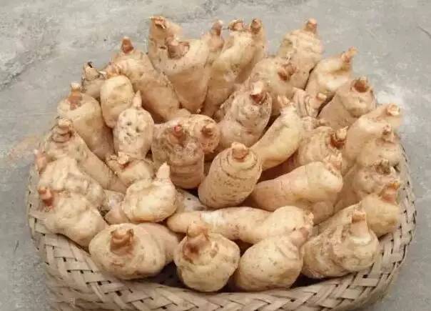 石阡富硒苔茶（石台富硒茶的功效与作用）-硒宝网