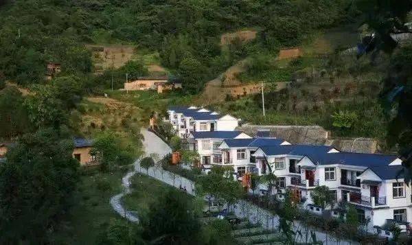 安康富硒茶妹(安康富硒茶多少钱一斤)-硒宝网