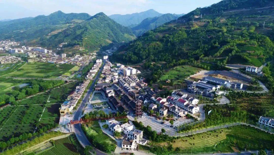 安康富硒茶妹(安康富硒茶多少钱一斤)-硒宝网