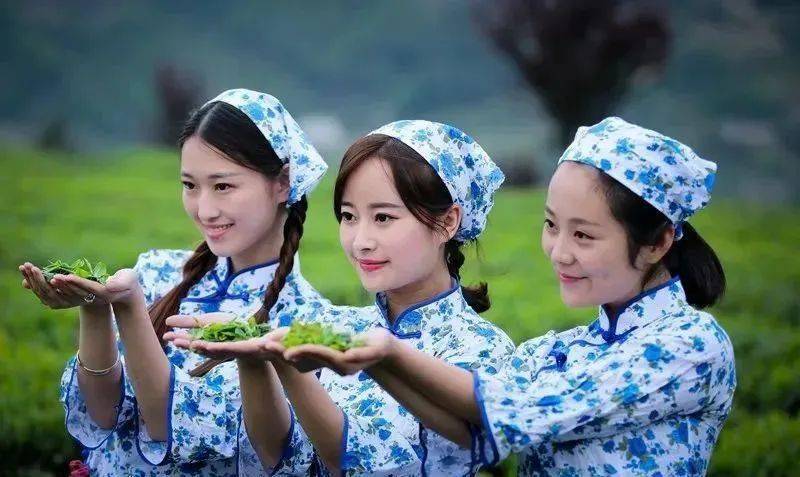 安康富硒茶妹(安康富硒茶多少钱一斤)-硒宝网