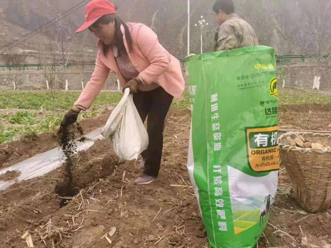 小分子富硒茶(富硒茶的优势)-硒宝网