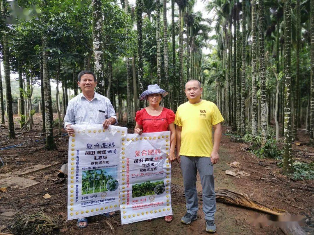 小分子富硒茶(富硒茶的优势)-硒宝网