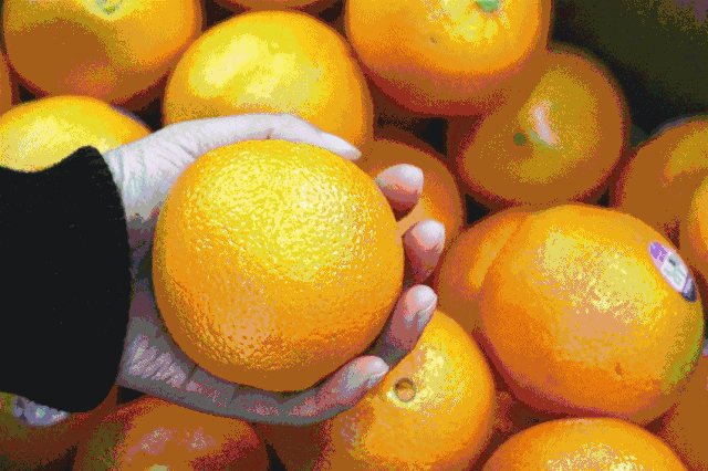 梨子寨富硒茶（茶梨的作用与功效）-硒宝网