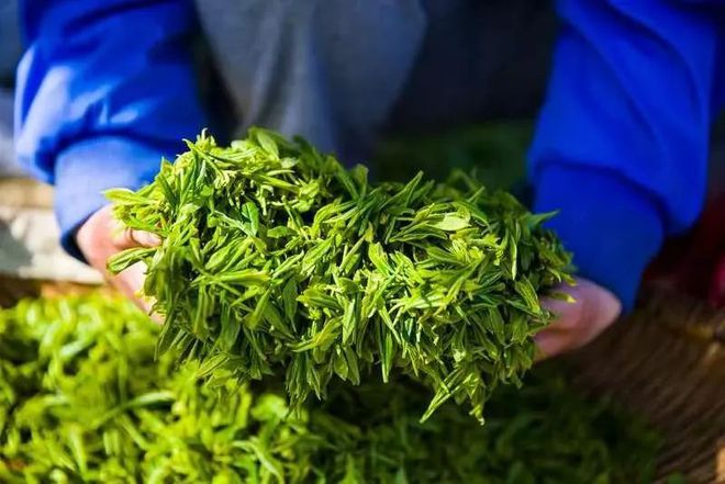 富硒茶 蒿坪(富硒茶庄)-硒宝网