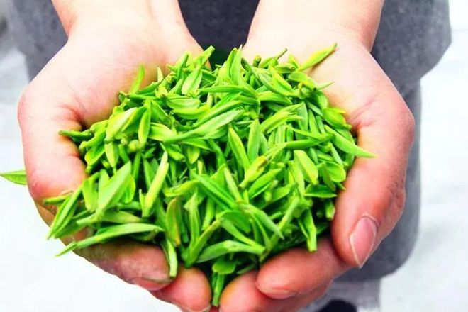 富硒茶 蒿坪(富硒茶庄)-硒宝网