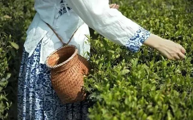 富硒茶 蒿坪(富硒茶庄)-硒宝网