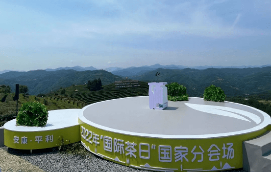 富硒茶 集优(富硒茶庄)-硒宝网