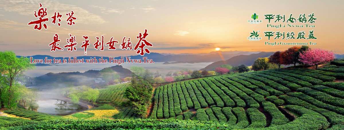 富硒原生古茶（原生茶业富硒茶）-硒宝网