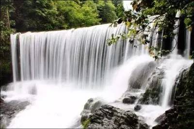 小分子富硒茶(富硒茶饮料)-硒宝网