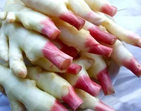 红枣富硒姜茶(姜茶红枣的功效)-硒宝网