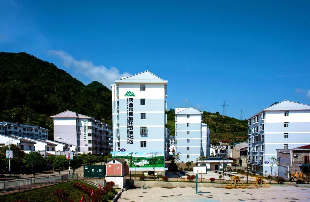 大竹园富硒茶（竹园茶叶）-硒宝网