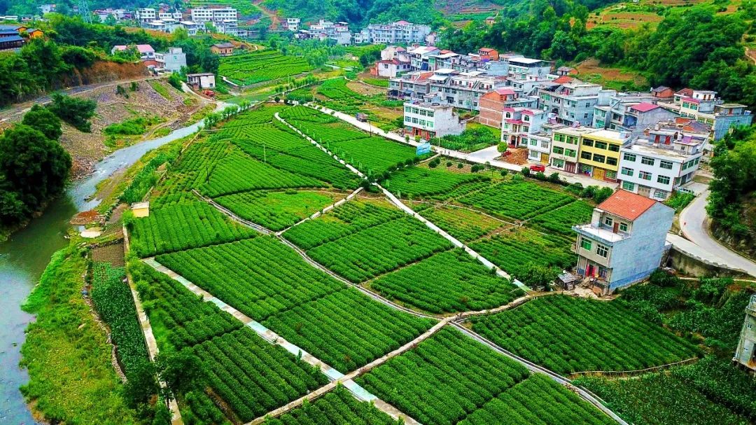 大竹园富硒茶（竹园茶叶）-硒宝网