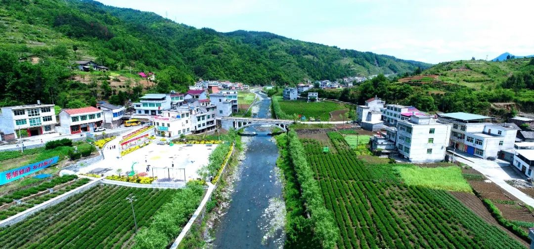 大竹园富硒茶（竹园茶叶）-硒宝网