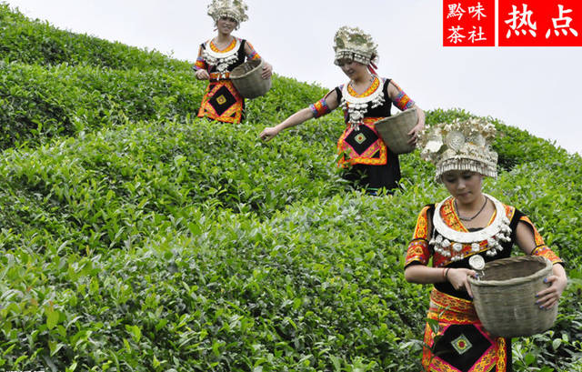 安宁富锌硒茶（正宗富锌富硒茶产地直供）-硒宝网