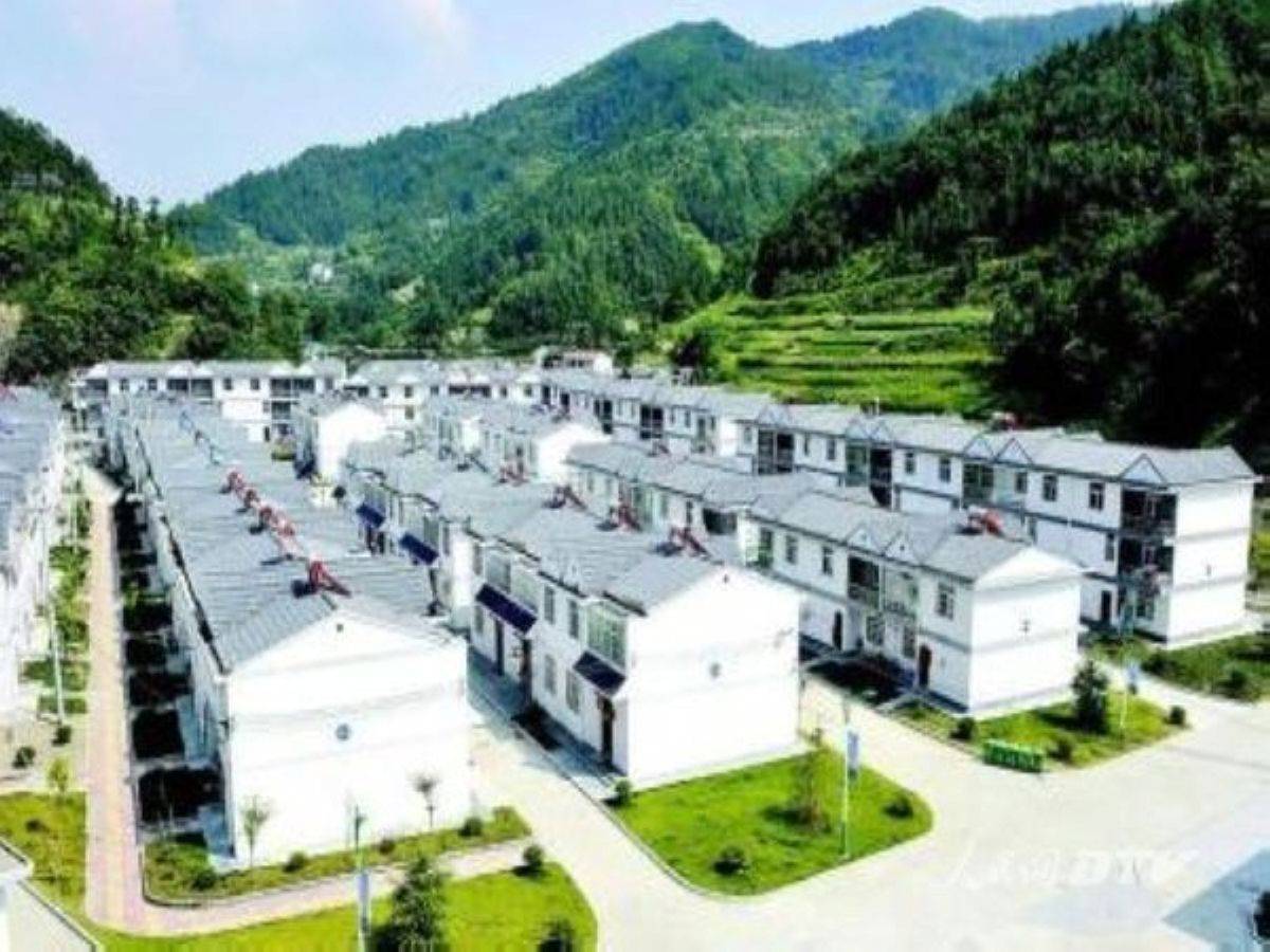 大竹园富硒茶(富硒茶园一亩可买)-硒宝网