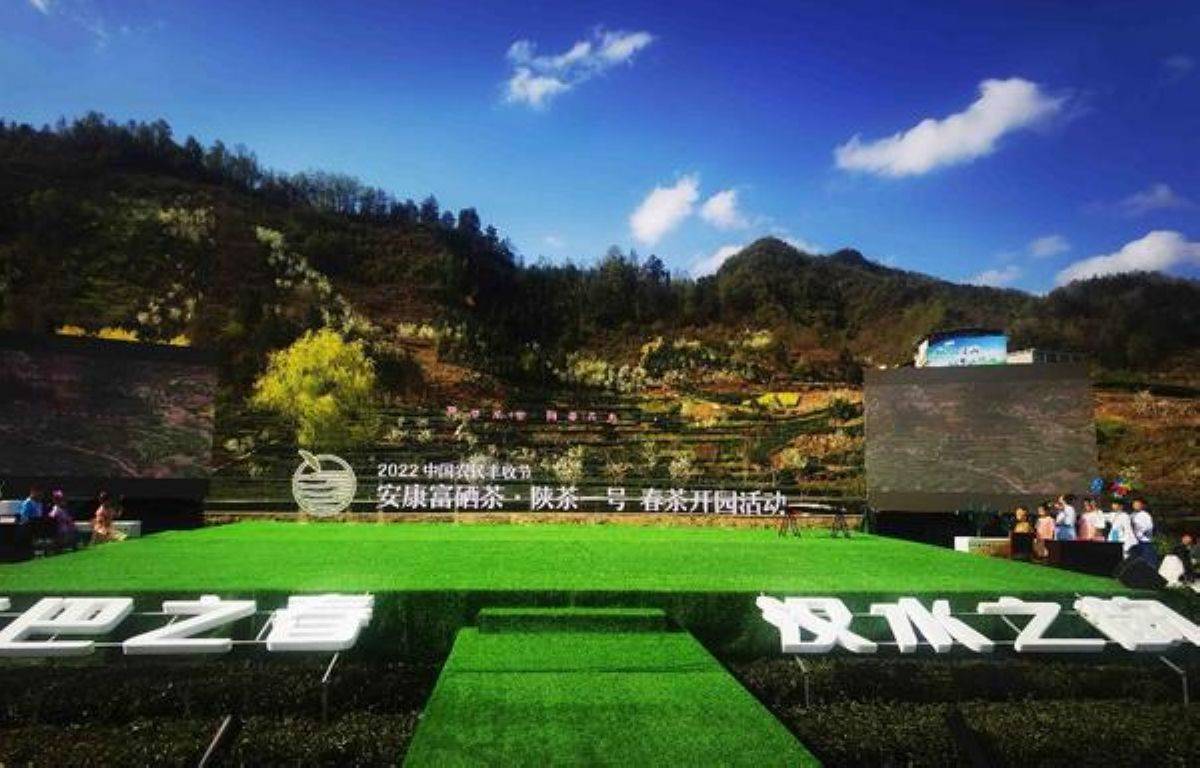 大竹园富硒茶(富硒茶园一亩可买)-硒宝网